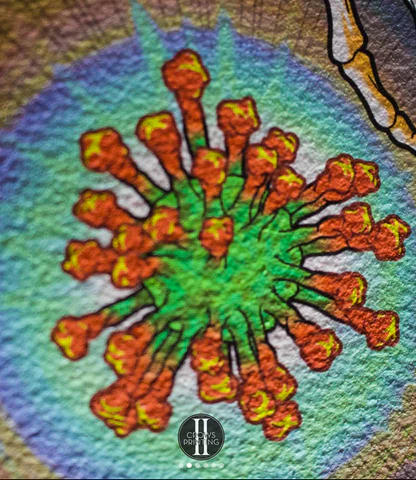 0115EB89-9A72-4A3B-8138-20ED4A39A7BD_480x480