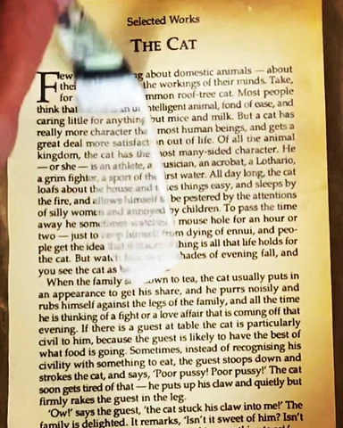 34AA524B-A0DB-45E1-A318-95D8E1268137_480x480