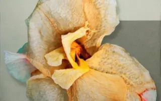 Acrylic Skins on Plexiglass