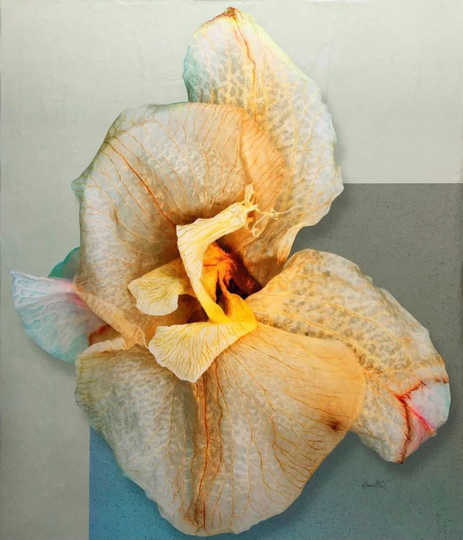 Acrylic Skins on Plexiglass