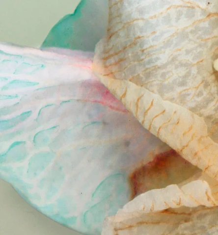 F17CCC13-EA19-4170-9FDF-138FE2B0A31A_480x480