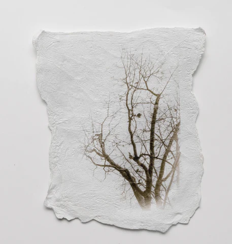 Screen_Shot_2023-05-20_at_7.14.33_PM_480x480