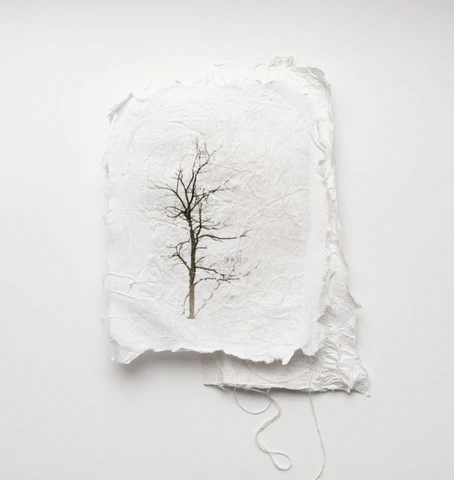 Screen_Shot_2023-05-20_at_7.14.50_PM_480x480