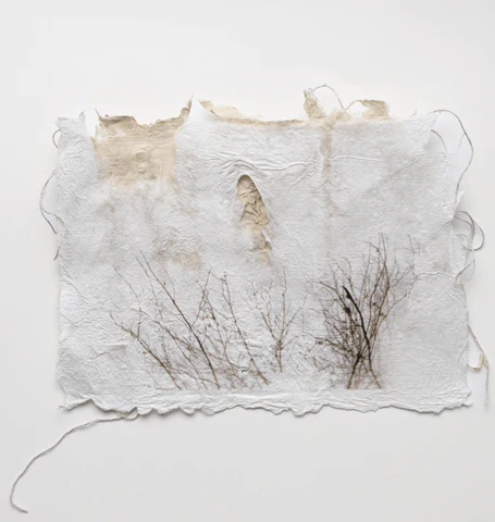 Screen_Shot_2023-05-20_at_7.15.24_PM_480x480