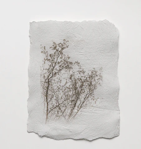 Screen_Shot_2023-05-20_at_7.15.40_PM_480x480