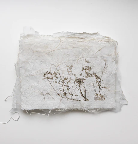 Screen_Shot_2023-05-20_at_7.16.00_PM_480x480